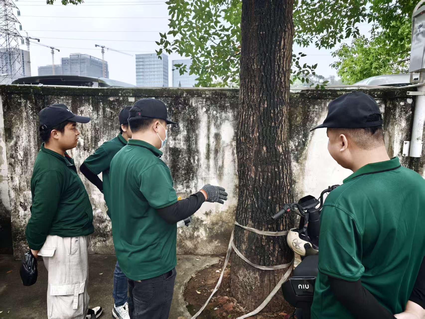 白蚁防治施工02